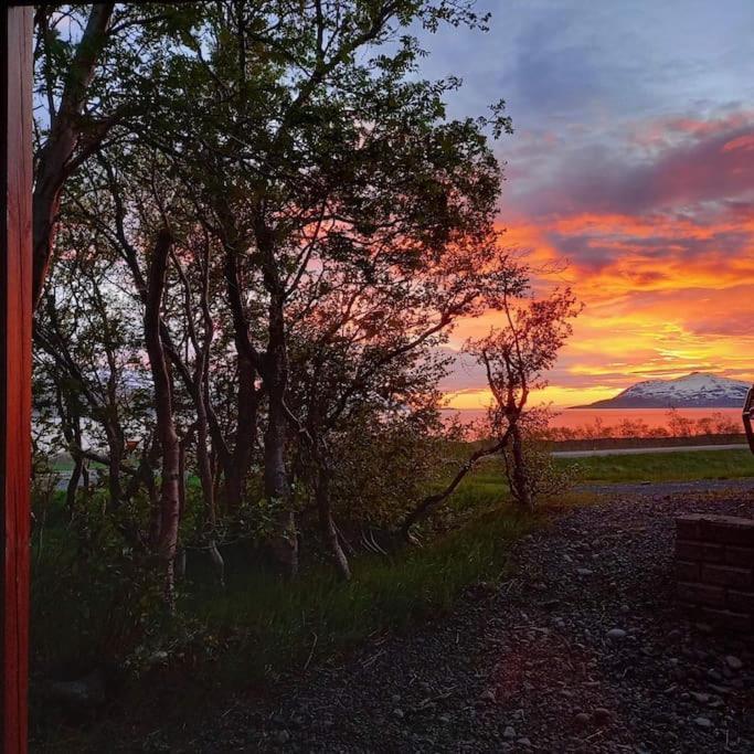 Apartmán Þorsmoerk Farm 12 Min From Akureyri Svalbarthseyri Exteriér fotografie