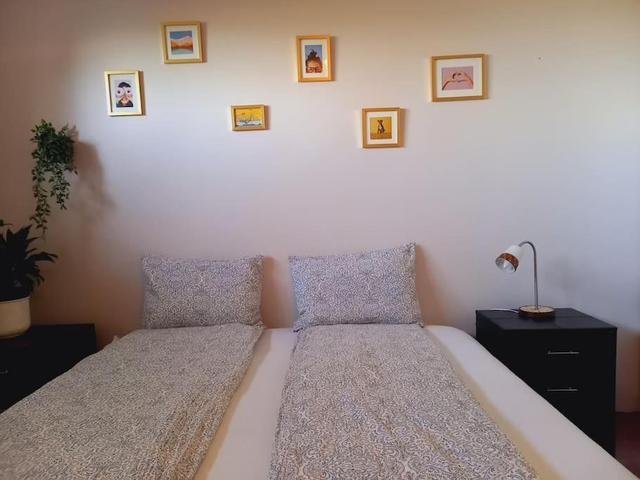 Apartmán Þorsmoerk Farm 12 Min From Akureyri Svalbarthseyri Exteriér fotografie