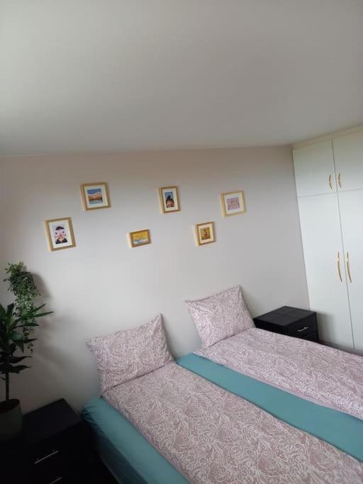 Apartmán Þorsmoerk Farm 12 Min From Akureyri Svalbarthseyri Exteriér fotografie